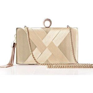 Women Champagne Clasp Imported Purses Handbags Suitable for evening party